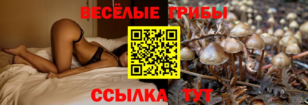 Галлюциногенные грибы мицелий Шебекино